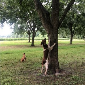 Meet your Posher, Dock